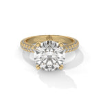 Liora Grande – Radiant Majesty