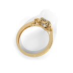 Amora - Heart’s Light